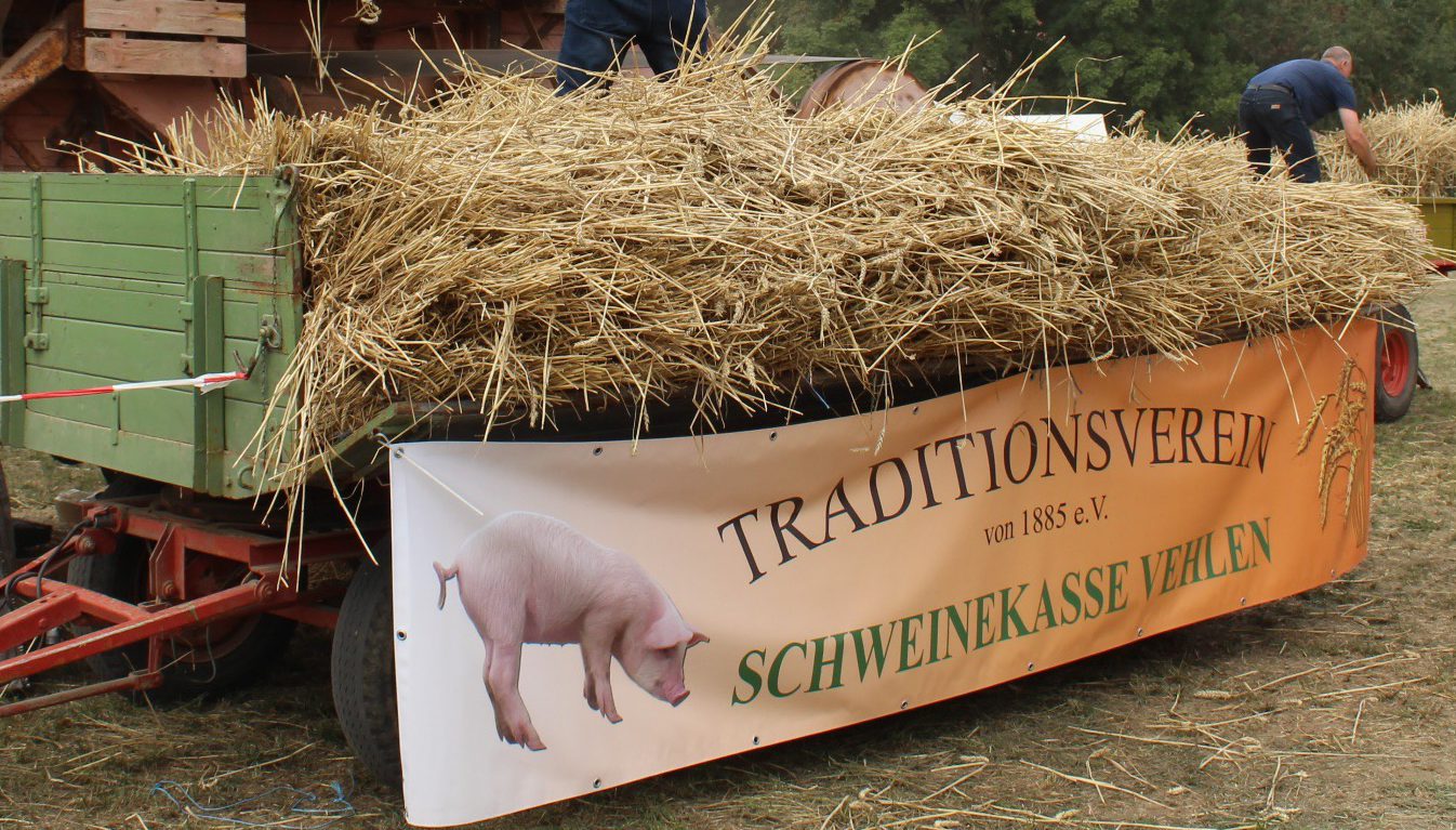 You are currently viewing Schweinekasse Vehlen e.V.